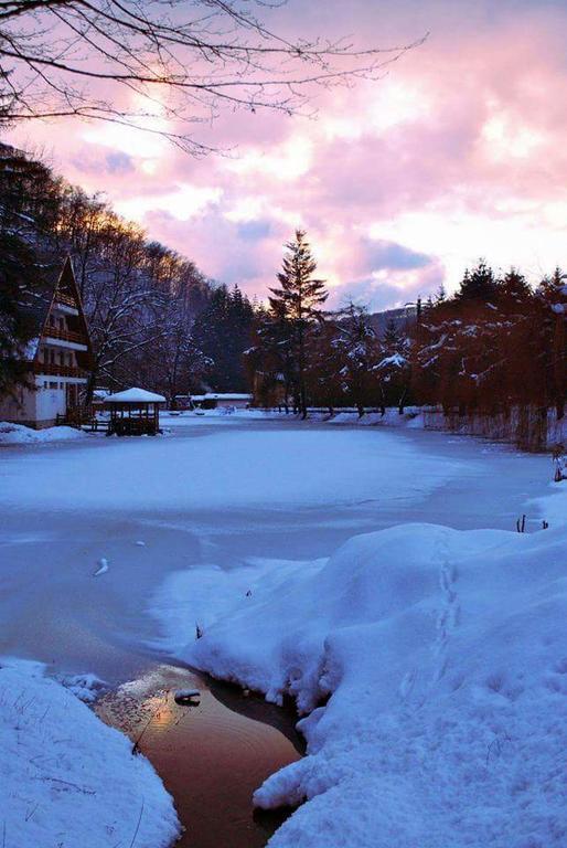Guest House Lacul Linistit 모네아사 외부 사진